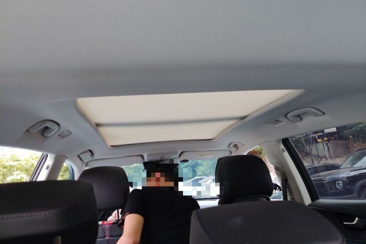 Used Hongqi HS5 2023 2.0T Qixiang Pro Edition Headliner