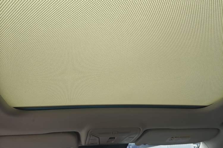 Used Hongqi HS5 2023 2.0T Four-Wheel Drive Flagship Pro Edition Headliner