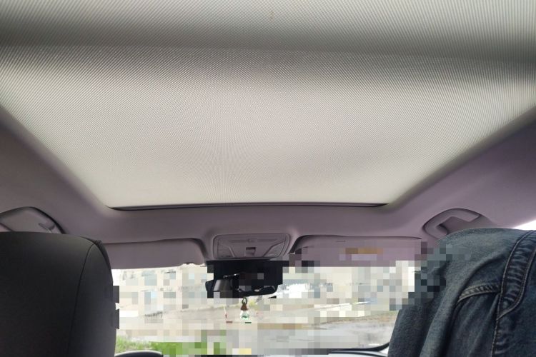 Used Hongqi HS5 2023 2.0T Qixiang Pro Edition Headliner