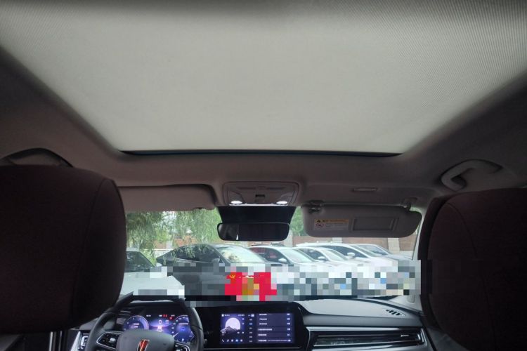 Used Hongqi HS5 2023 2.0T Qixiang Pro Edition Headliner
