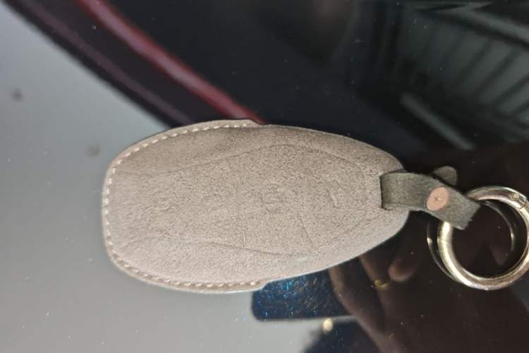 Used Hongqi HS5 2023 2.0T Qixiang Pro Edition Interior 1