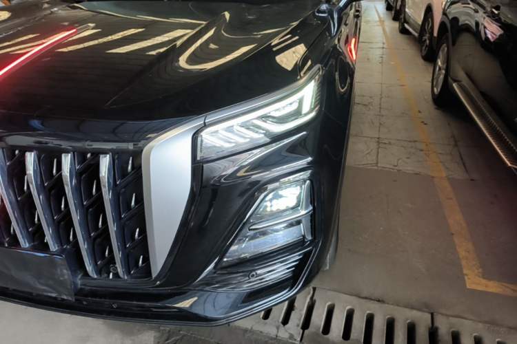 Used Hongqi HS5 2023 2.0T Qixiang Pro Edition Left Front Headlight