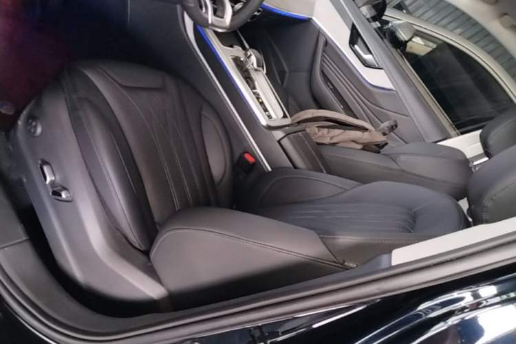 Used Hongqi HS5 2023 2.0T Qixiang Pro 500 000th Unit Commemorative Edition Left Front Seat