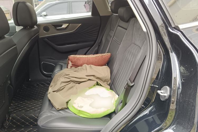 Used Hongqi HS5 2023 2.0T Four-Wheel Drive Flagship Pro Edition Left Rear Seat