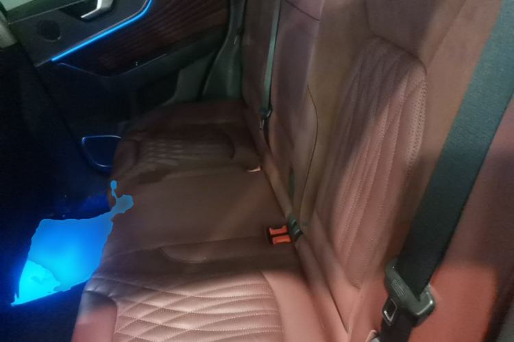 Used Hongqi HS5 2023 2.0T Qixiang Pro Edition Left Rear Seat