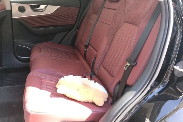 Used Hongqi HS5 2023 2.0T Four-Wheel Drive Flagship Pro Edition Left Rear Seat