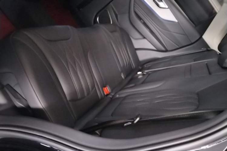 Used Hongqi HS5 2023 2.0T Qixiang Pro 500 000th Unit Commemorative Edition Left Rear Seat