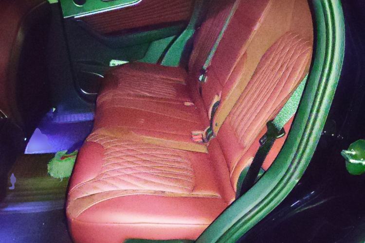 Used Hongqi HS5 2023 2.0T Four-Wheel Drive Flagship Pro Edition Left Rear Seat
