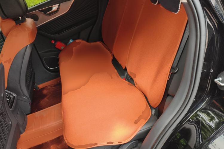 Used Hongqi HS5 2023 2.0T Qixiang Pro Edition Left Rear Seat