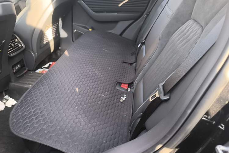 Used Hongqi HS5 2023 2.0T Four-Wheel Drive Flagship Pro Edition Left Rear Seat
