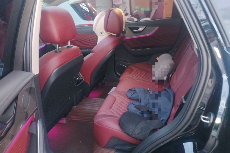 Used Hongqi HS5 2023 2.0T Qixiang Pro 500 000th Unit Commemorative Edition Left Rear Seat