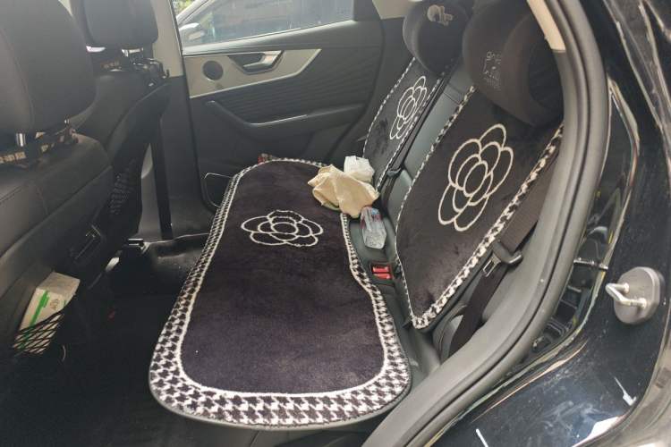 Used Hongqi HS5 2023 2.0T Qixiang Pro Edition Left Rear Seat