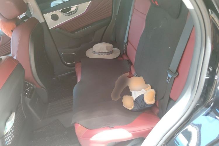 Used Hongqi HS5 2023 2.0T Qixiang Pro Edition Left Rear Seat