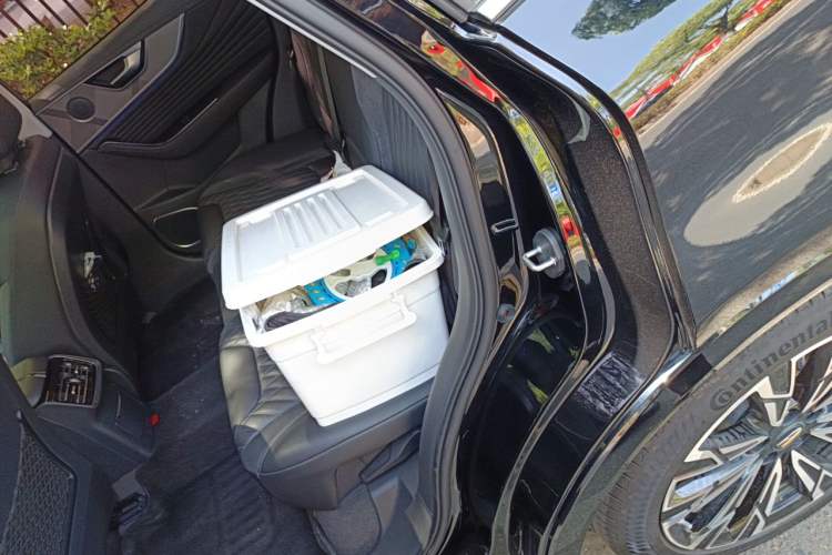 Used Hongqi HS5 2023 2.0T Four-Wheel Drive Flagship Pro Edition Left Rear Seat