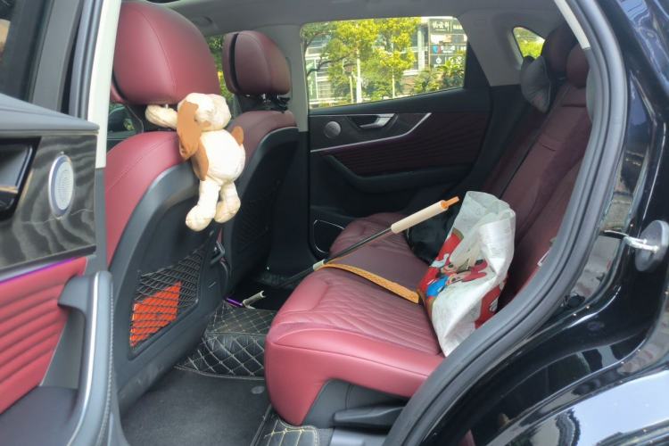 Used Hongqi HS5 2023 2.0T Four-Wheel Drive Flagship Pro Edition Left Rear Seat