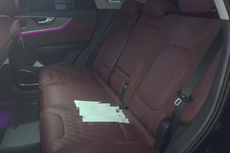 Used Hongqi HS5 2023 2.0T Qixiang Pro 500 000th Unit Commemorative Edition Left Rear Seat