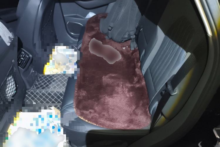 Used Hongqi HS5 2023 2.0T Qixiang Pro Edition Left Rear Seat