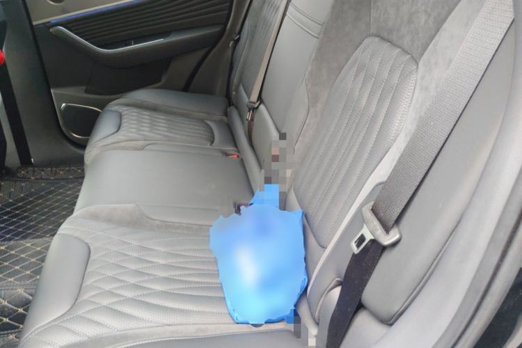 Used Hongqi HS5 2023 2.0T Qixiang Pro Edition Left Rear Seat