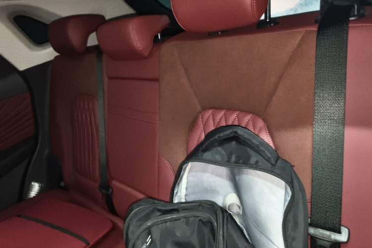 Used Hongqi HS5 2023 2.0T Qixiang Pro 500 000th Unit Commemorative Edition Left Rear Seat