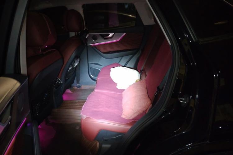 Used Hongqi HS5 2023 2.0T Qixiang Pro Edition Left Rear Seat