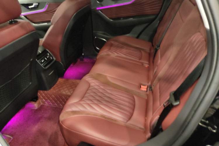 Used Hongqi HS5 2023 2.0T Qixiang Pro Edition Left Rear Seat