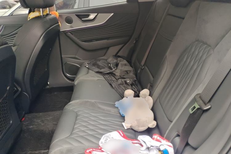 Used Hongqi HS5 2023 2.0T Qixiang Pro Edition Left Rear Seat