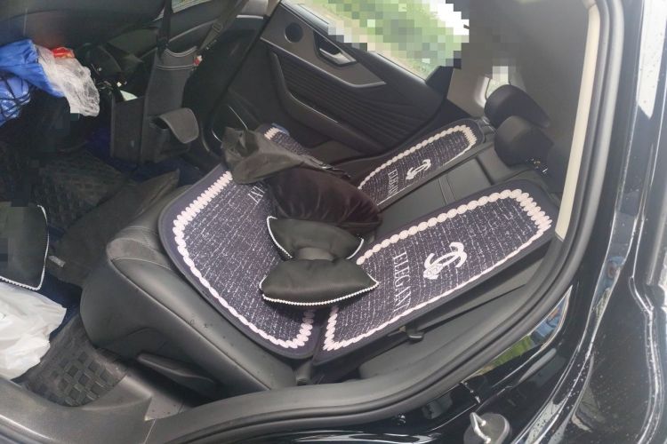 Used Hongqi HS5 2023 2.0T Qixiang Pro Edition Left Rear Seat