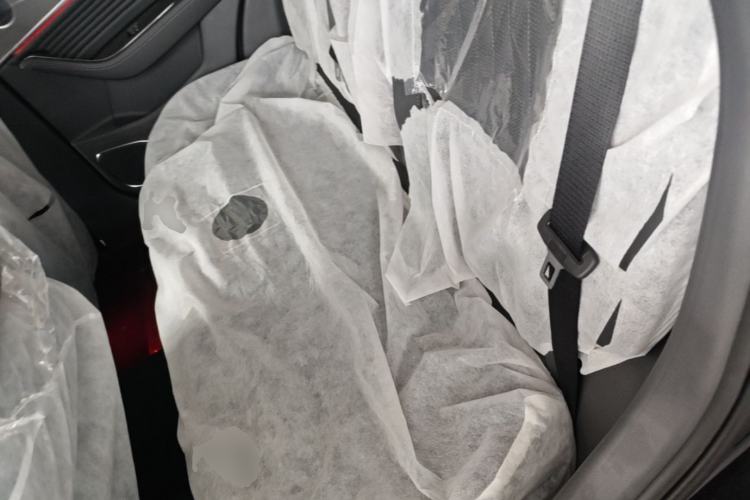 Used Hongqi HS5 2023 2.0T Qixiang Pro Edition Left Rear Seat