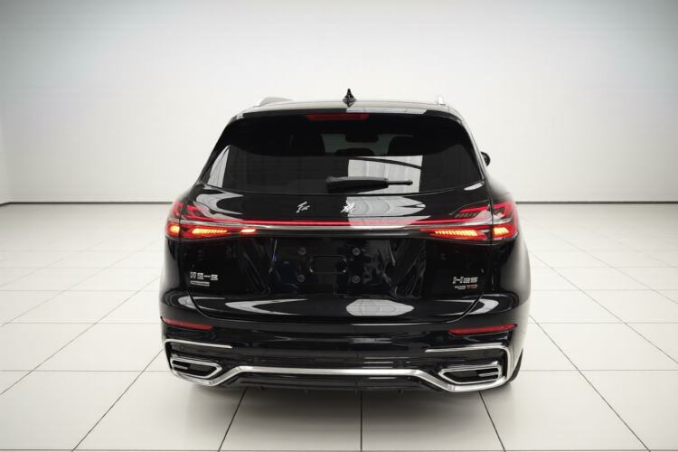 Used Hongqi HS5 2023 2.0T Four-Wheel Drive Flagship Pro Edition Rear