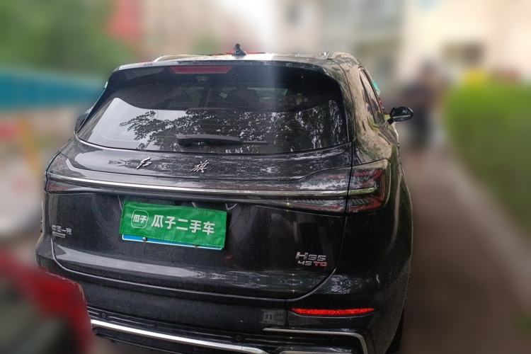 Used Hongqi HS5 2023 2.0T Four-Wheel Drive Flagship Pro Edition Rear