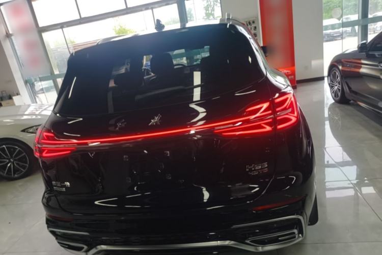 Used Hongqi HS5 2023 2.0T Four-Wheel Drive Flagship Pro Edition Rear