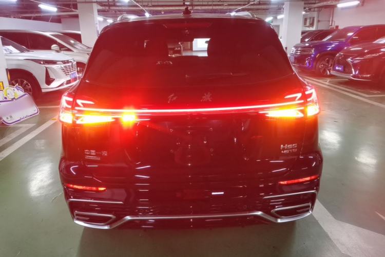 Used Hongqi HS5 2023 2.0T Four-Wheel Drive Flagship Pro Edition Rear