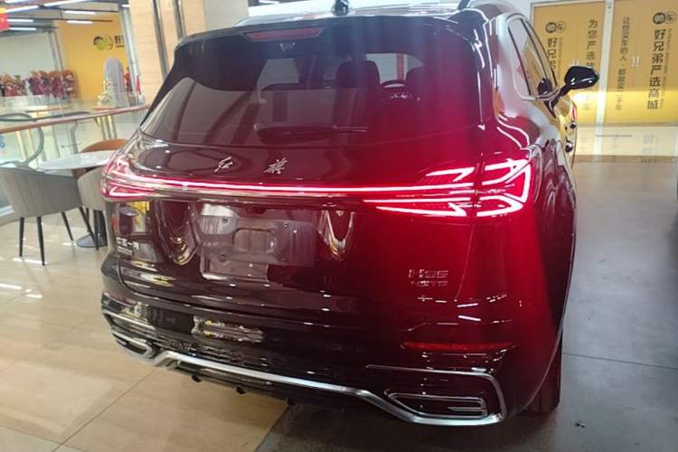 Used Hongqi HS5 2023 2.0T Four-Wheel Drive Flagship Pro Edition Rear