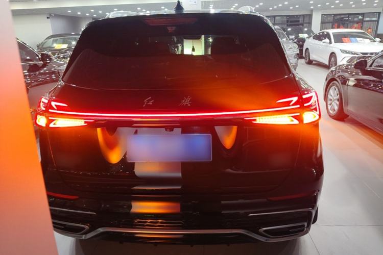 Used Hongqi HS5 2023 2.0T Four-Wheel Drive Flagship Pro Edition Rear