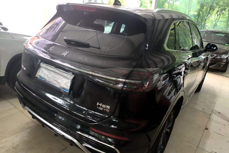 Used Hongqi HS5 2023 2.0T Qixiang Pro Edition Rear Right 45 Deg