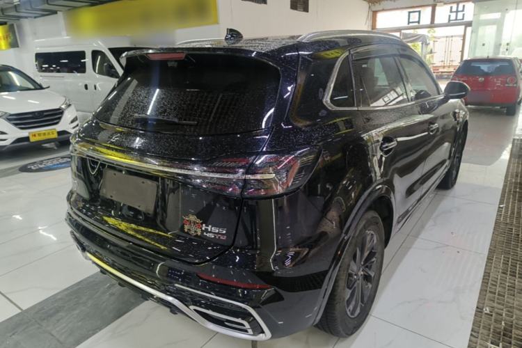 Used Hongqi HS5 2023 2.0T Qixiang Pro Edition Rear Right 45 Deg