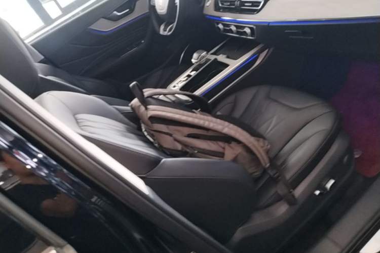 Used Hongqi HS5 2023 2.0T Qixiang Pro 500 000th Unit Commemorative Edition Right Front Seat