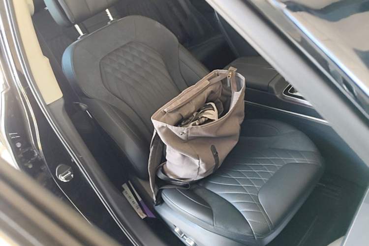 Used Hongqi HS5 2023 2.0T Four-Wheel Drive Flagship Pro Edition Right Front Seat