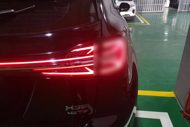 Used Hongqi HS5 2023 2.0T Qixiang Pro Edition Right Rear Taillight