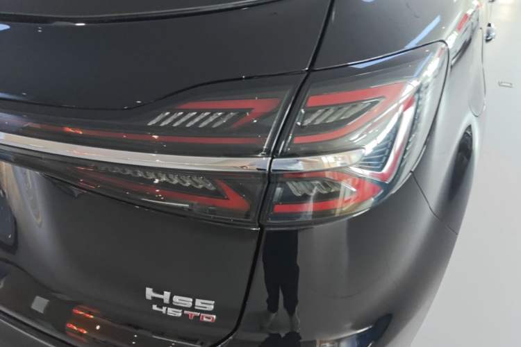 Used Hongqi HS5 2023 2.0T Qixiang Pro Edition Right Rear Taillight