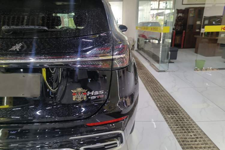Used Hongqi HS5 2023 2.0T Qixiang Pro Edition Right Rear Taillight