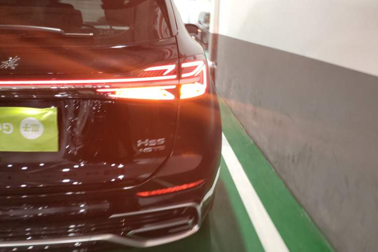 Used Hongqi HS5 2023 2.0T Qixiang Pro Edition Right Rear Taillight