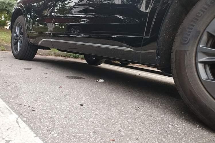 Used Hongqi HS5 2023 2.0T Qixiang Pro Edition Right Side Sill