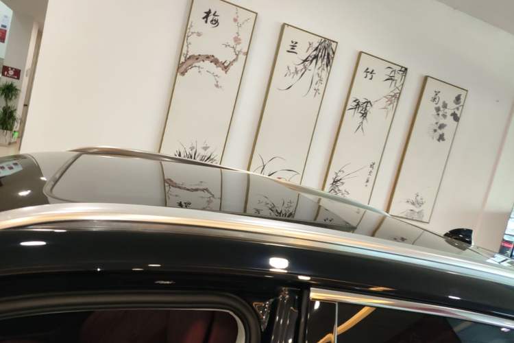 Used Hongqi HS5 2023 2.0T Qixiang Pro Edition Roof