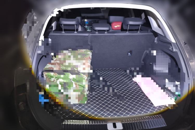 Used Hongqi HS5 2023 2.0T Qixiang Pro Edition Trunk