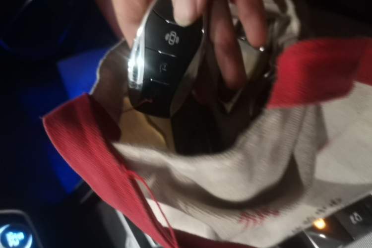 Used Hongqi HS5 2023 2.0T Qixiang Pro Edition Vehicle Key