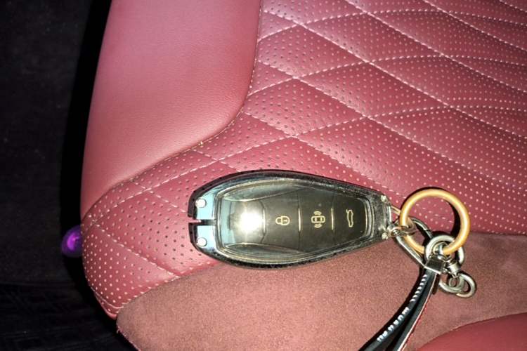 Used Hongqi HS5 2023 2.0T Qixiang Pro Edition Vehicle Key