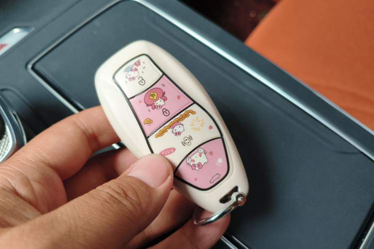 Used Hongqi HS5 2023 2.0T Qixiang Pro Edition Vehicle Key