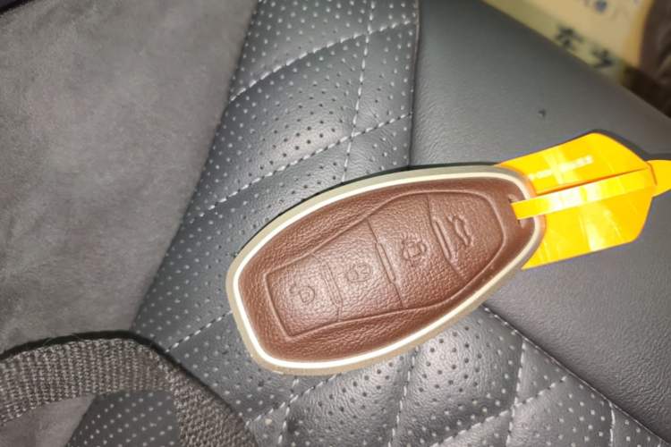 Used Hongqi HS5 2023 2.0T Qixiang Pro Edition Vehicle Key