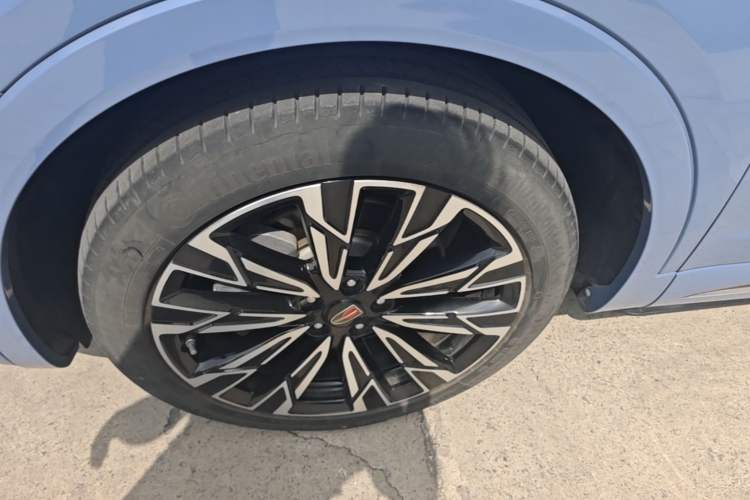 Used Hongqi HS5 2023 2.0T Four-Wheel Drive Flagship Pro Edition Exterior 4
